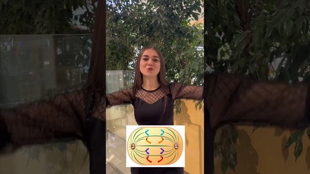 Вся правда о песне Мало половин #егэ2024 #биологияегэ #мем #егэбиология #биология #прикол #егэ смотреть онлайн