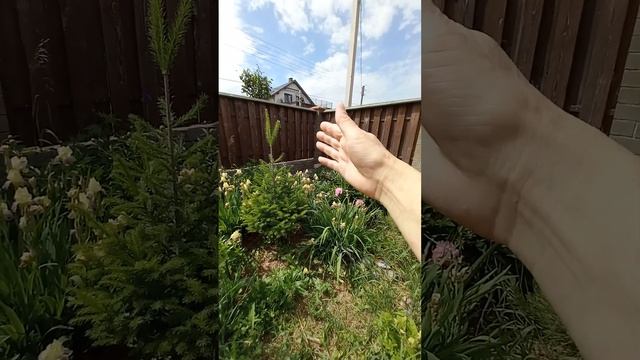 Природный стиль ч.1 От сосны до сосны. смотреть онлайн
