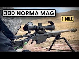 300 NORMA MAG. Лучший дальнобойный калибр из доступных. стрельба до 1600 м.