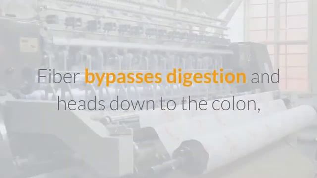 9 Impressive Health Benefits of BEETS смотреть онлайн