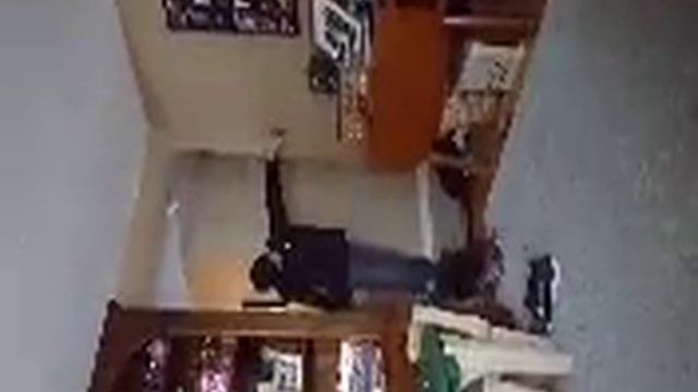 Anti-Gravity Cat смотреть онлайн