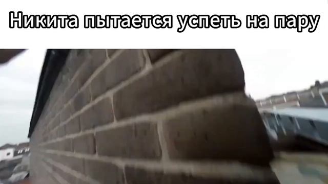 Институт СПО и ДП сландер смотреть онлайн