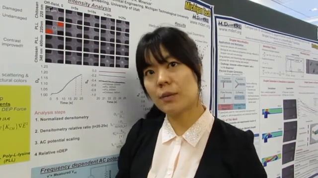 Dielectrophoretic Behaviors of Nanoparticles смотреть онлайн