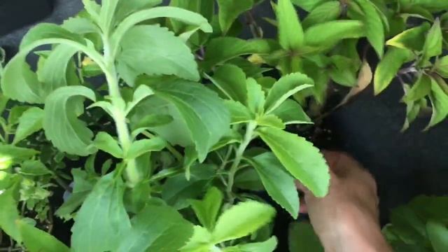 Grab Those Deals Now! смотреть онлайн