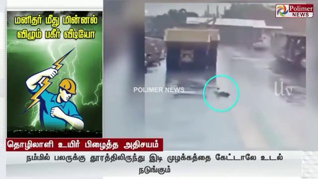 Minnal Murali whatsapp status😎😎| மின்னல் முரளி | polimer news parithavangal |polimer news thug life смотреть онлайн
