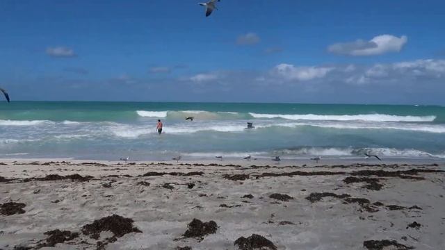Ocean Varadero El Patriarca December 2018 смотреть онлайн