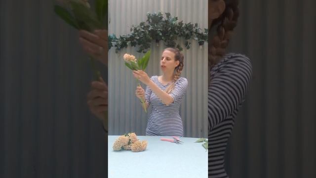 Flower care and conditioning series – Coxcomb смотреть онлайн