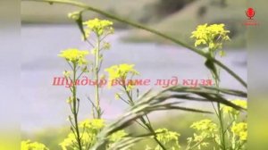 ♪ ӴУКНА караоке удмуртские песни