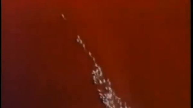 Zhizn_chudo_1.avi смотреть онлайн
