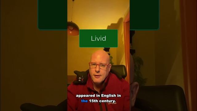 Word of the Day: Livid смотреть онлайн