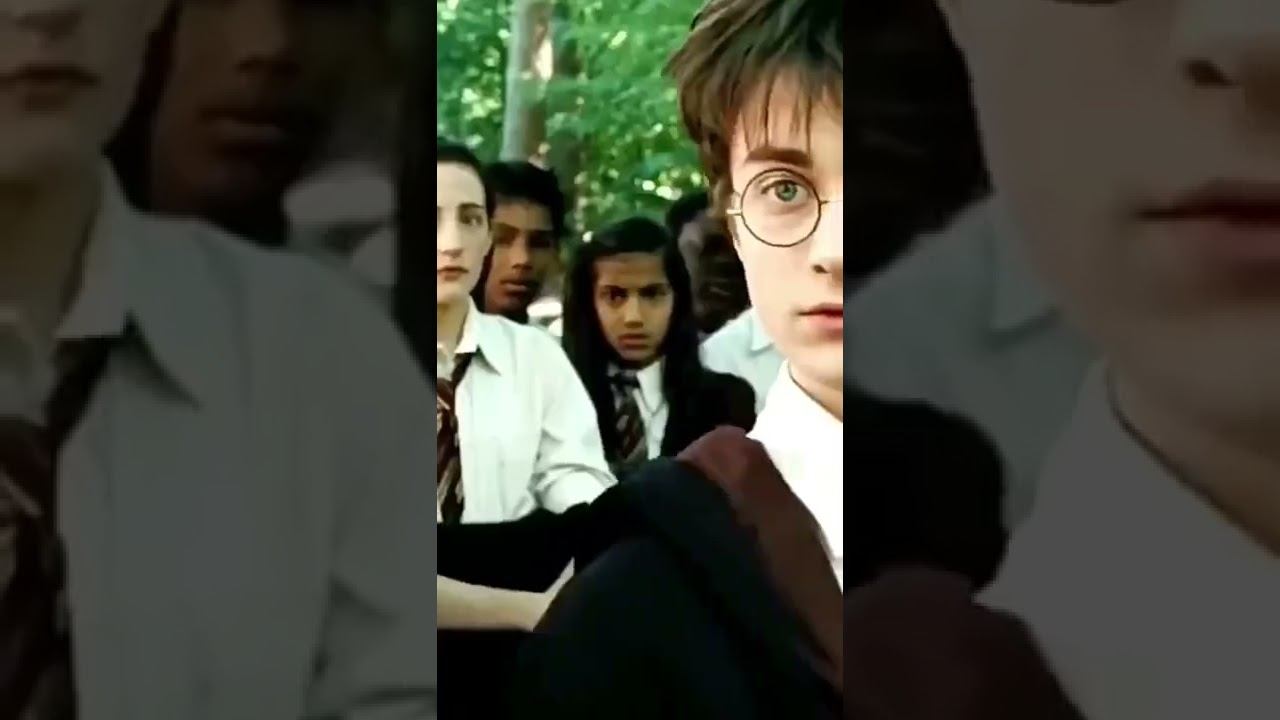 #рек #гаррипоттер #хогвартс #дракоша смотреть онлайн