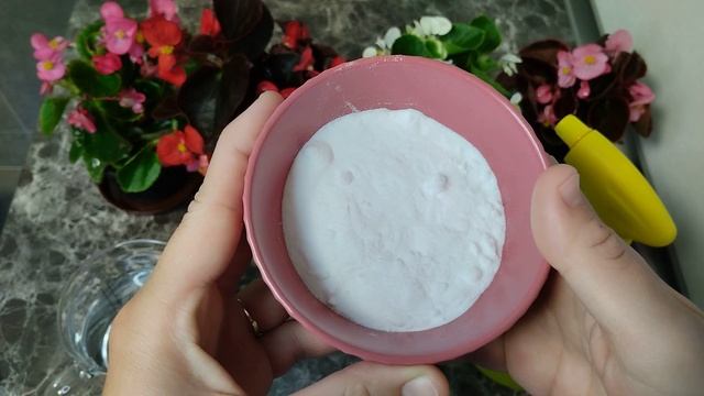 Najjači prirodni insekticid! Lisne uši, puževi i stjenice nestaju u tisućama! смотреть онлайн