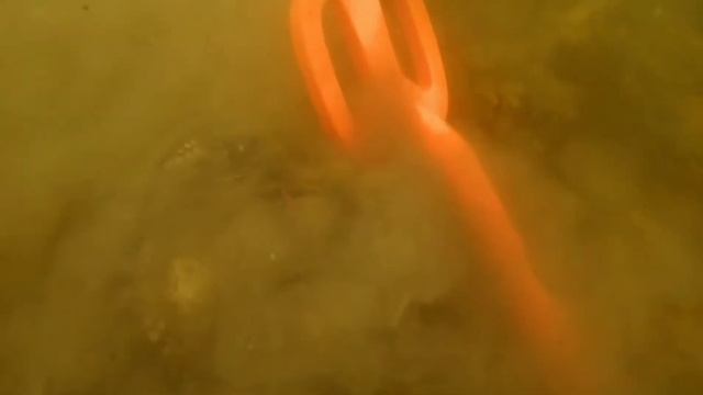 Underwater metaldetecting in murky lake full of trash and crabs смотреть онлайн