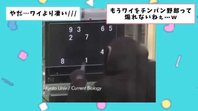 【2ch動物スレ】クッソキモい鹿みたいな外来種「キョン」、千葉で繁殖中　お前らの想像の5倍はキモい смотреть онлайн