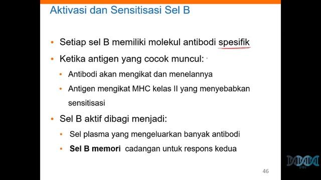 Fisiologi Hewan: Sistem Imun Part II #StudyFromHome смотреть онлайн
