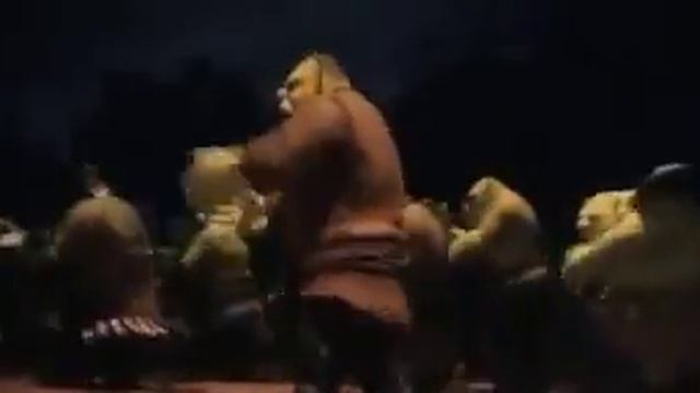 gangnam style shrek смотреть онлайн