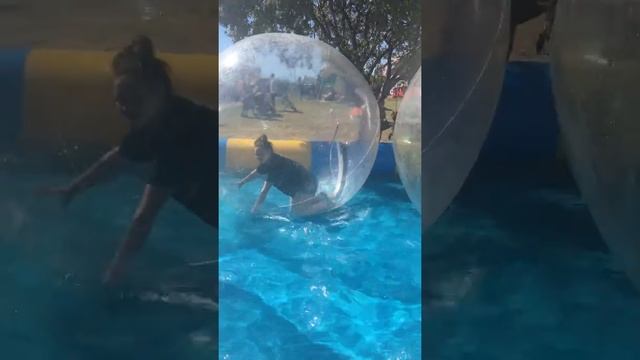 Maris in the water hamster ball смотреть онлайн