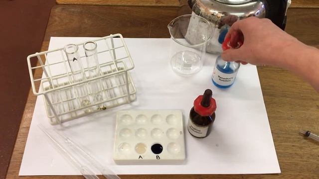 Starch and amylase смотреть онлайн