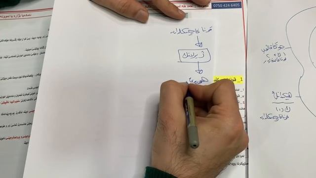 وانێت زیندەوەرێ بو پولا ١٢ زانستی بەندێ (٦) смотреть онлайн