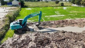 Строительство, планировка, зачистка грязи