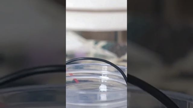 sepration of hydrogen from water смотреть онлайн