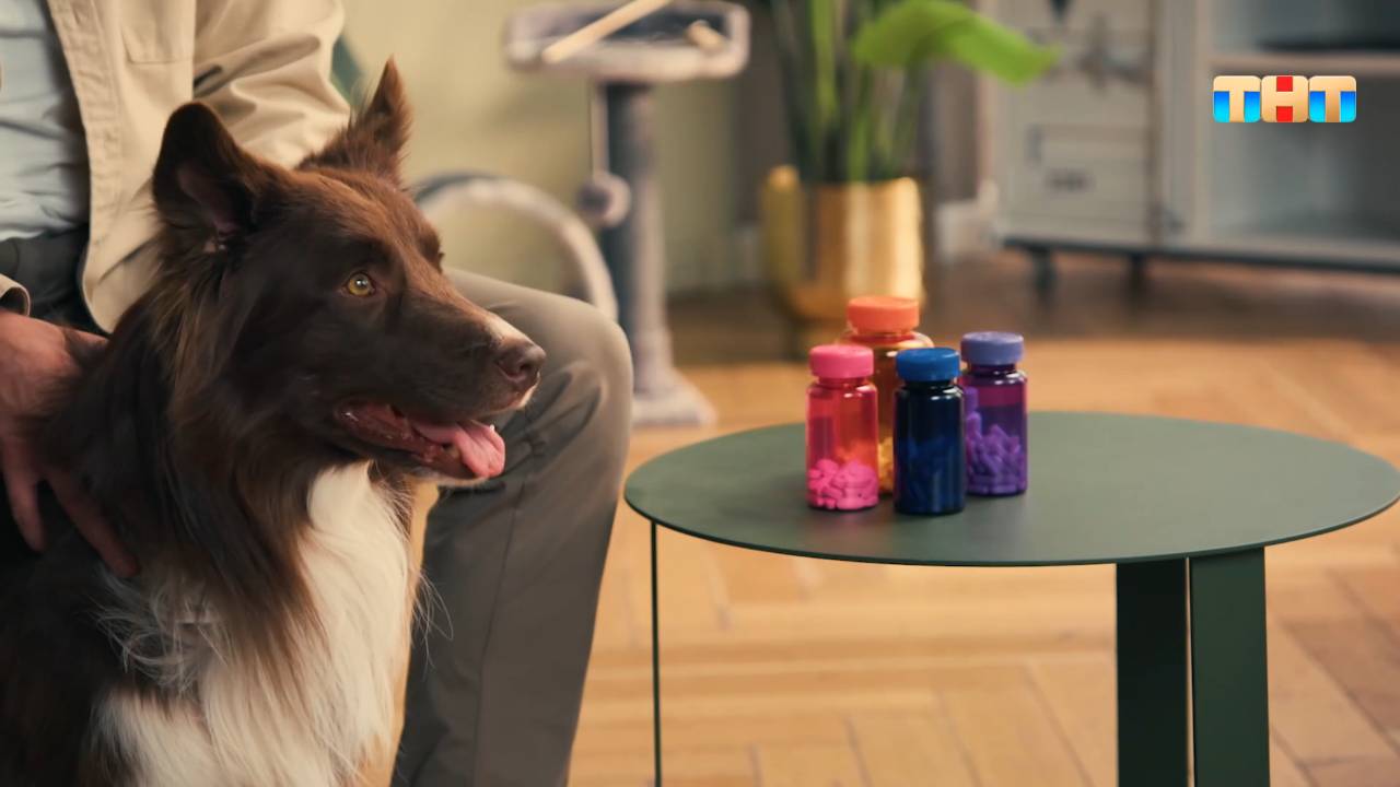 RUTUBE. Лучшее