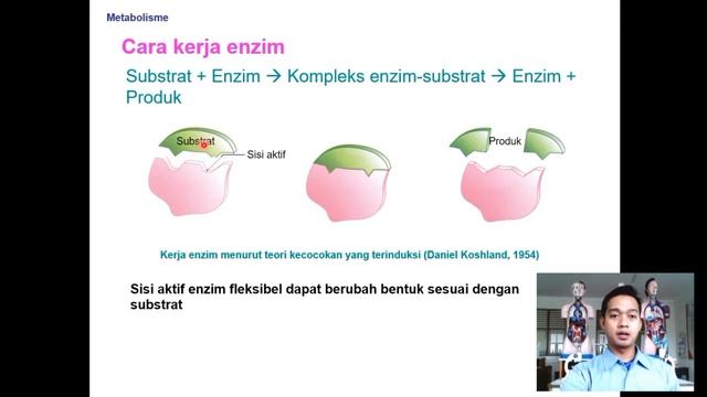 METABOLISME (ENZIM) смотреть онлайн
