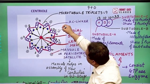 MICROTUBULES | CENTROSOME | CENTRIOLE | BASAL BODY | CILIA | NEET | GBPUAT | ICAR | ROHIT SATI SIR смотреть онлайн