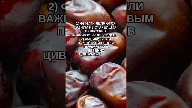 Код OZON - 952516429 смотреть онлайн