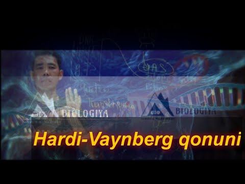 Hardi-Vaynberg qonuni смотреть онлайн