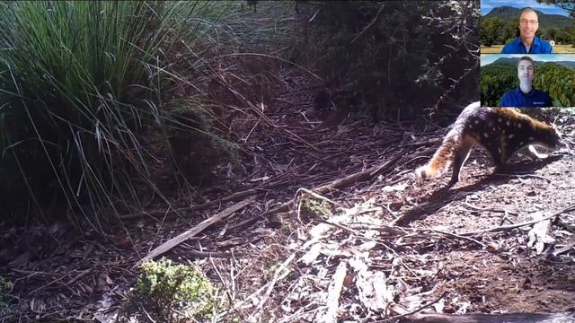 Liffey Valley Bush Chat смотреть онлайн