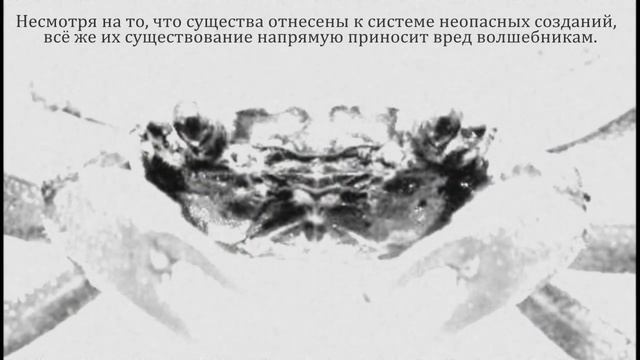 Чизпафл | Chizpurfle смотреть онлайн