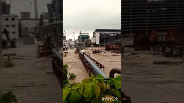 Smelter weda bay nikel 2020 смотреть онлайн