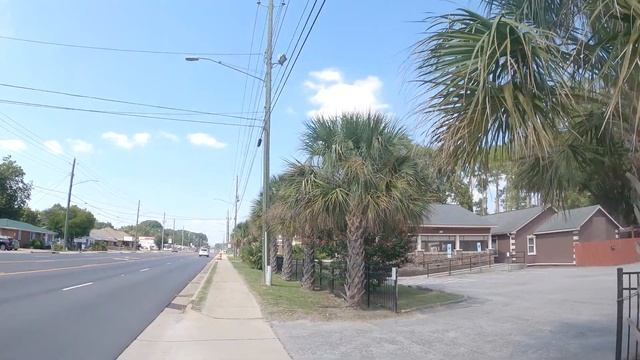 Palm Patrol Pt 2- Fayetteville NC смотреть онлайн
