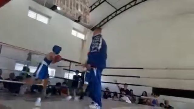 Amin qaracop смотреть онлайн
