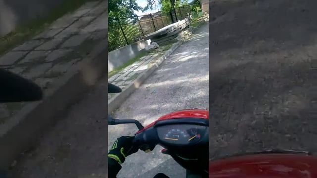 Карам скутер с Flame Parrot смотреть онлайн