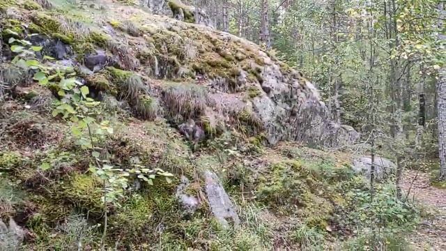 Карелия. Остров Койонсаари. смотреть онлайн