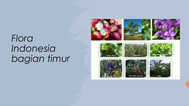 Keragaman Flora dan fauna Indonesia смотреть онлайн