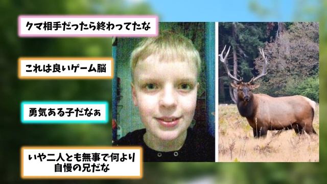【2ch動物スレ】ヘラジカってこんなに大きかった!? Twitterに投稿された動画にネットが驚愕 смотреть онлайн