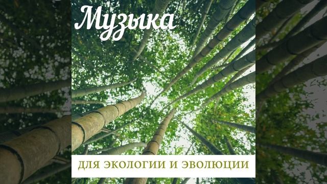 Пейзаж смотреть онлайн