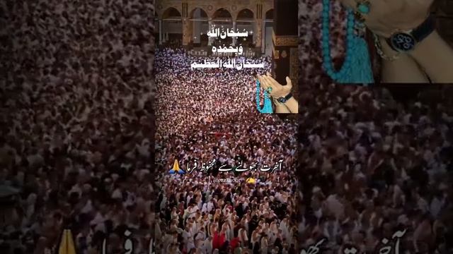 ameen summa ameen .... смотреть онлайн