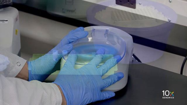 Single Cell Gene Expression Protocol v3.1 | Prepare Master Mix смотреть онлайн