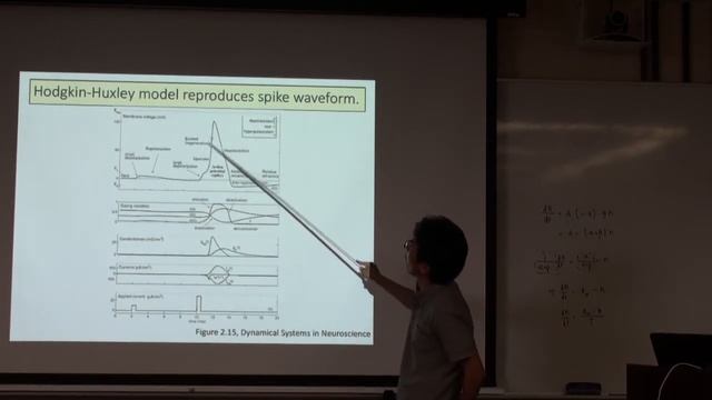 JAISTサマースクール2016「脳を知るための理論」講義01 Single neuron models смотреть онлайн
