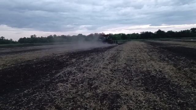 Озимая пшеница_сезон 2024_посев на орошении в Самарской области смотреть онлайн