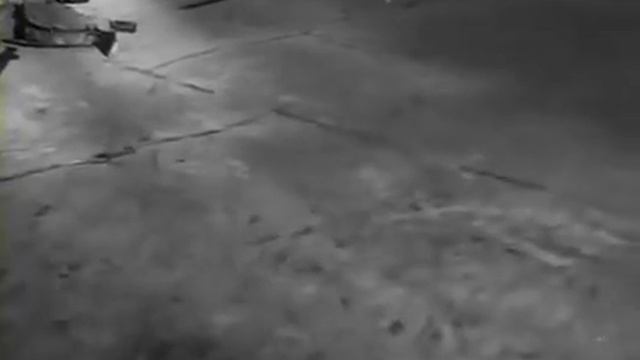 VID-20241127-WA0034.mp4 смотреть онлайн