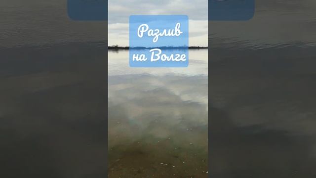 Разлив на Волге / #atv #квадроциклы #половодье смотреть онлайн