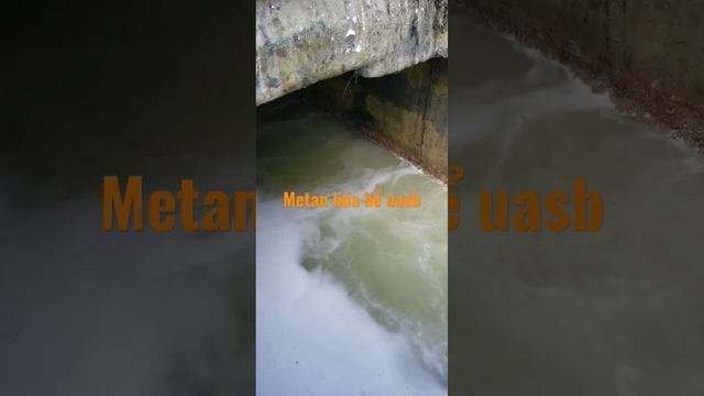 1 tháng 3, 2023 смотреть онлайн