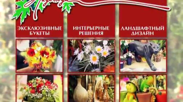 Ролик. Центр флористики Надежда смотреть онлайн
