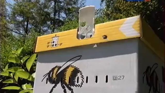 Университетные проекты