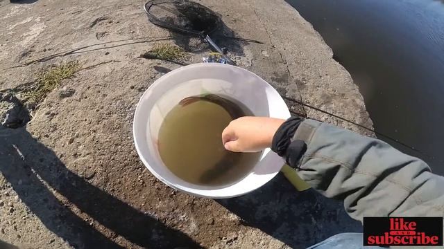 За щуки на язовир Маслово - Out for pike on Maslovo lake смотреть онлайн
